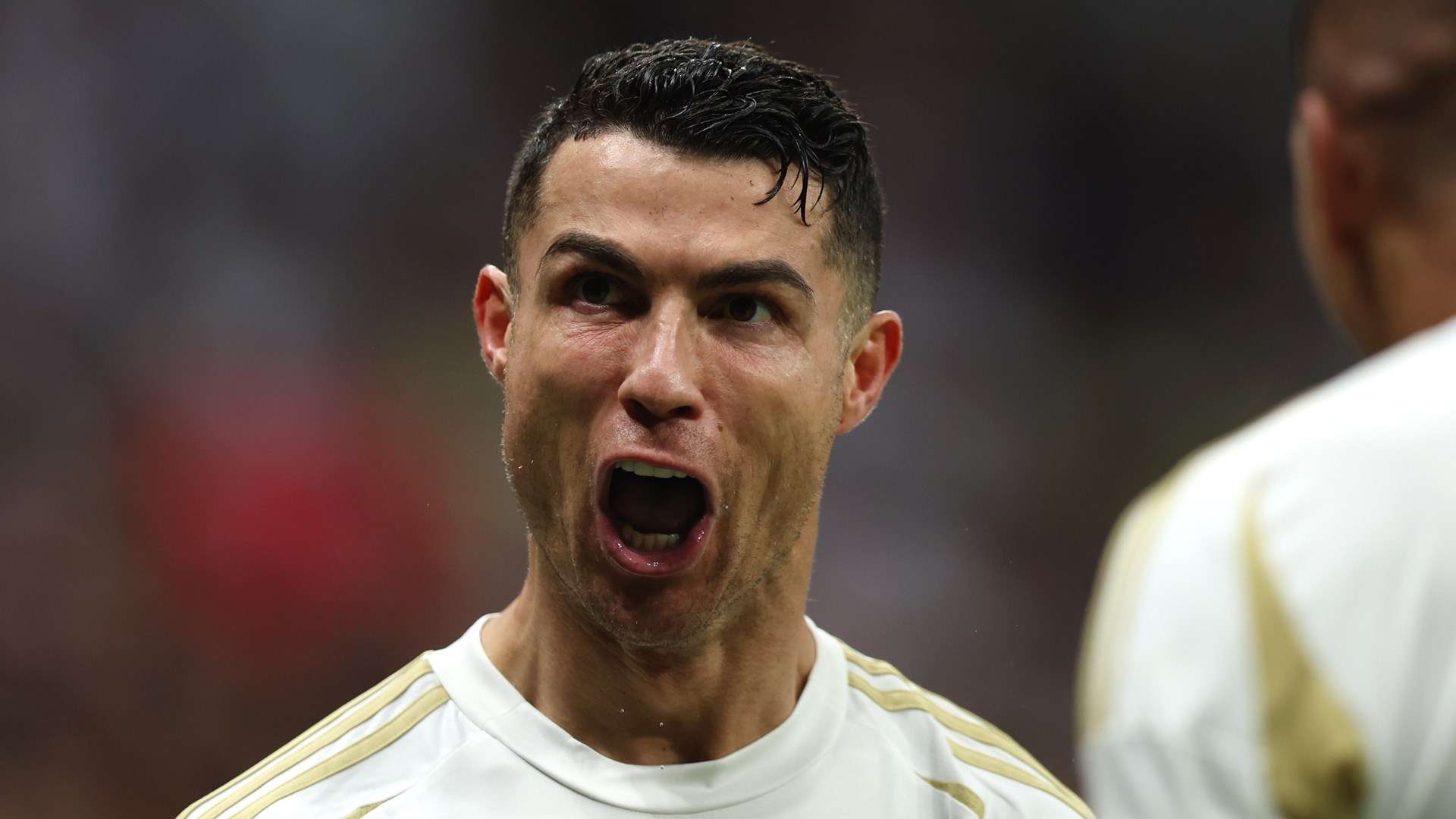 冠军履历加 冠军履历加